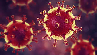 MERS virus, Meadle-East Respiratory Syndrome coronovirus, 3D illustration